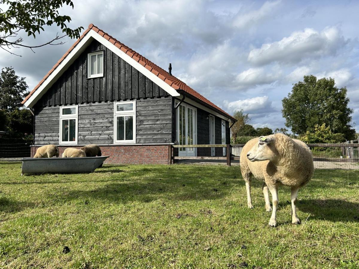 埃姆斯特Geldersche Tuin 6 Persoons别墅 外观 照片